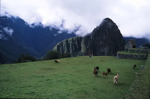 Camino Inca 2 Días