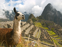 Turismo de estudiantes a Machu Picchu