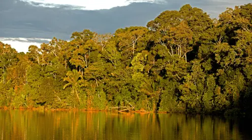 Parqe Nacional del Manu