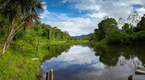 Parqe Nacional del Manu